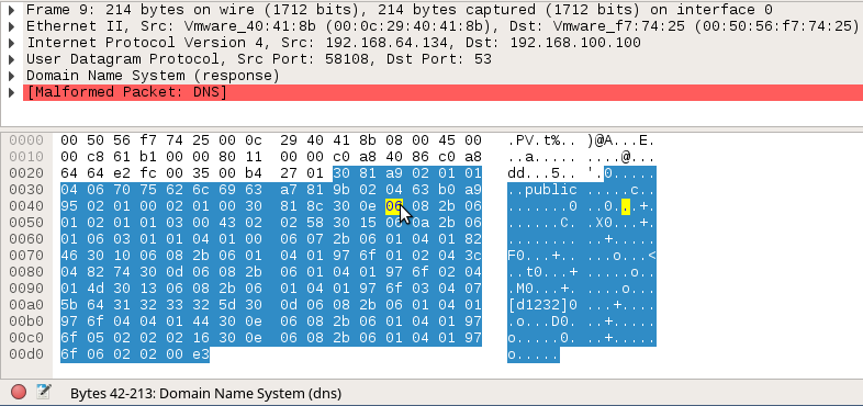 Malformed DNS packet